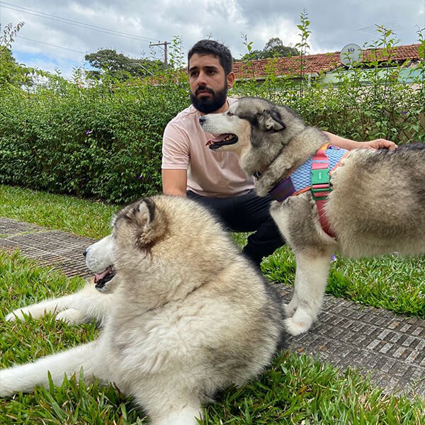 Adestrador Victor com seus alunos malamutes do alaska