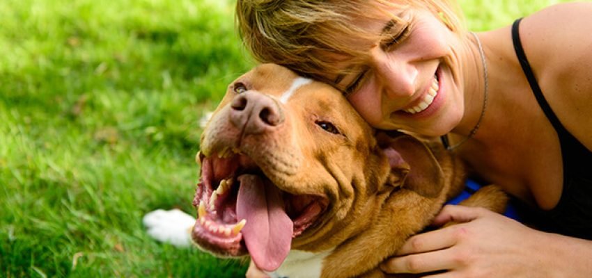 Como educar seu pet da maneira ideal